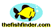 fishybot.gif (5364 bytes)